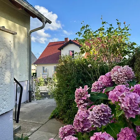 In 1 - Seeseite Klein Zicker