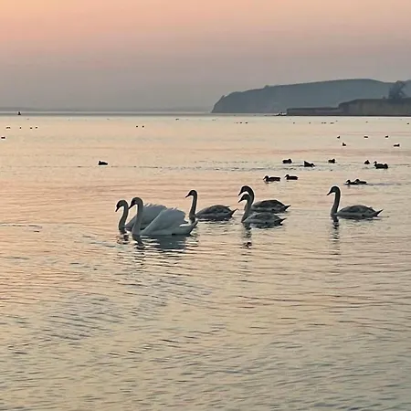 In 1 - Seeseite 아파트 *