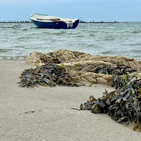 In 1 - Seeseite 아파트