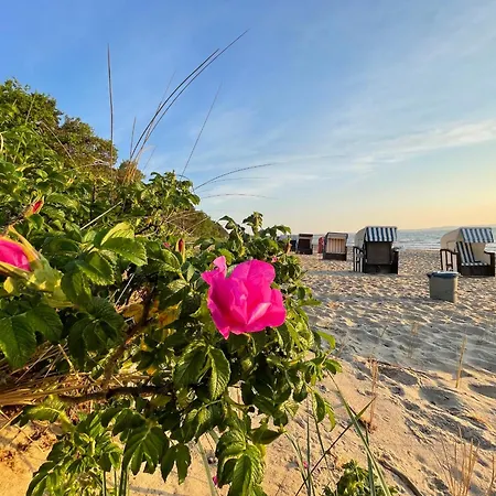 In 1 - Seeseite * Klein Zicker